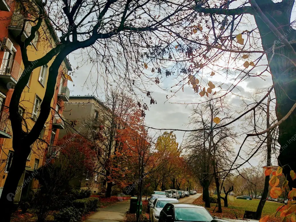 Kiadó albérlet 170000 Ft/hó áron: Budapest, XIV. kerület  Padlizsán utca. Mérete: 39 nm, 1 szobás | Alberlet.hu - 6573087