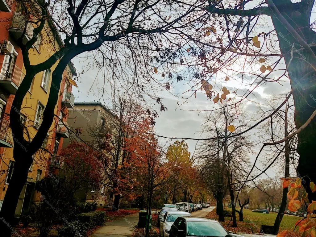 Kiadó albérlet 170000 Ft/hó áron: Budapest, XIV. kerület  Padlizsán utca. Mérete: 39 nm, 1 szobás | Alberlet.hu - 6698672