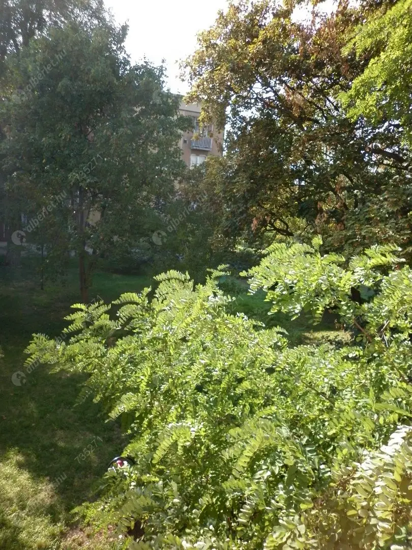 Kiadó albérlet 200000 Ft/hó áron: Budapest, XIV. kerület  Padlizsán utca. Mérete: 39 nm, 1 szobás | Alberlet.hu - 6617128