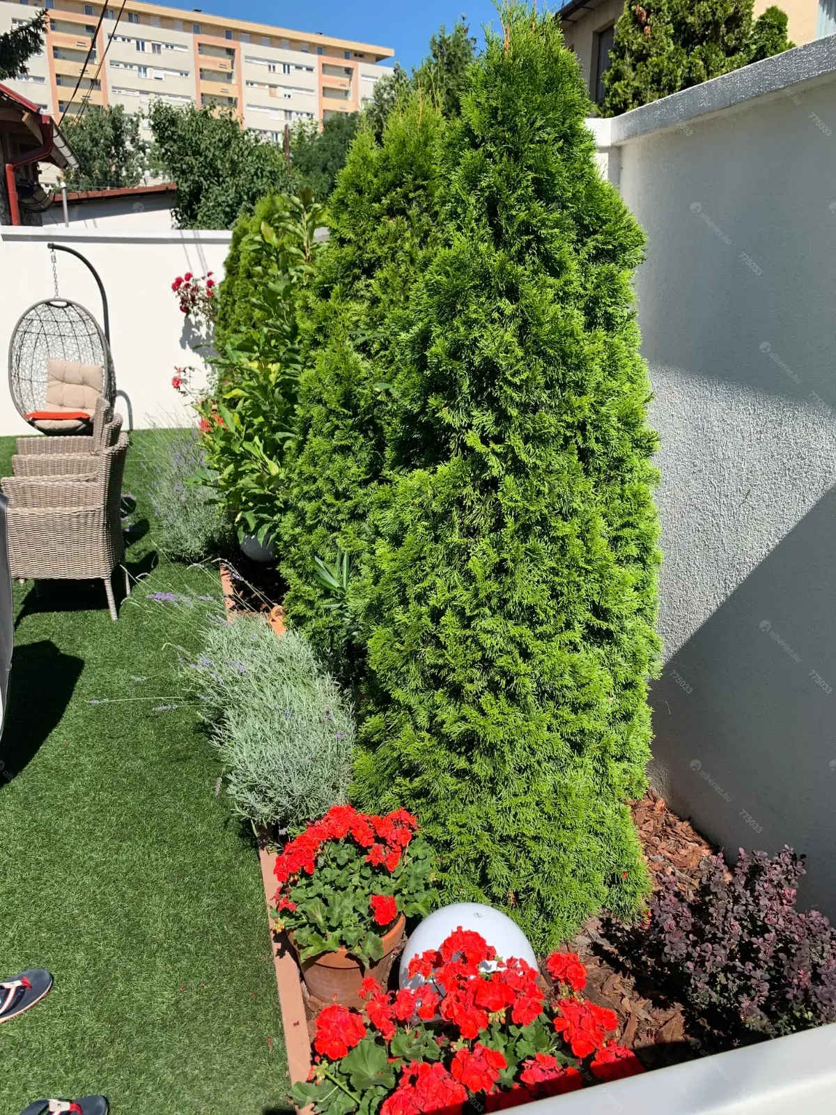 Kiadó albérlet 160000 Ft/hó áron: Budapest, XIV. kerület  Pándorfalu utca. Mérete: 22 nm, 1 szobás | Alberlet.hu - 6659896