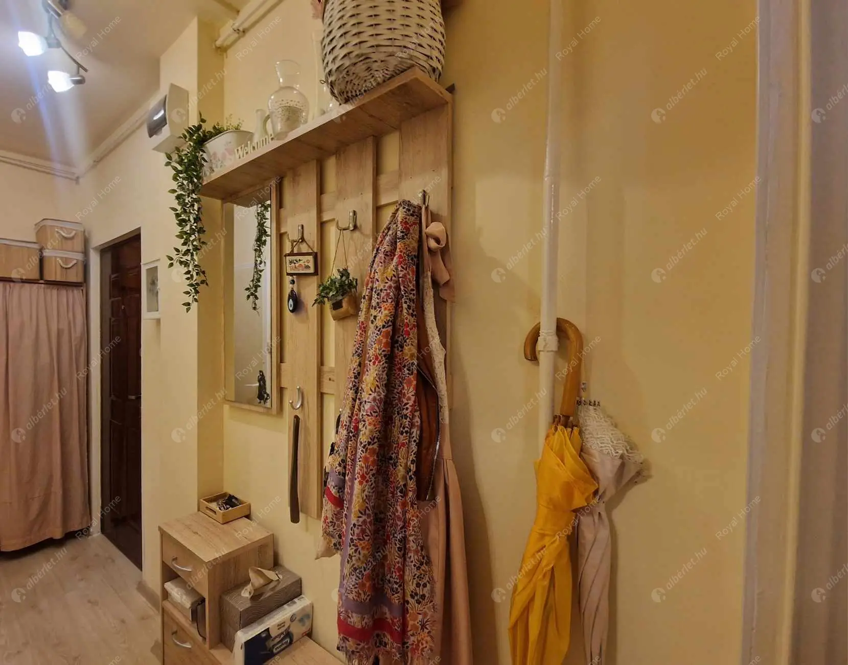 Kiadó albérlet 230000 Ft/hó áron: Budapest, XIV. kerület  Pillangó park. Mérete: 37 nm, 1 szobás | Alberlet.hu - 6426725