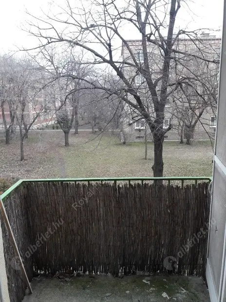 Kiadó albérlet 160000 Ft/hó áron: Budapest, XIV. kerület  Róna utca. Mérete: 37 nm, 1 szobás | Alberlet.hu - 5151377