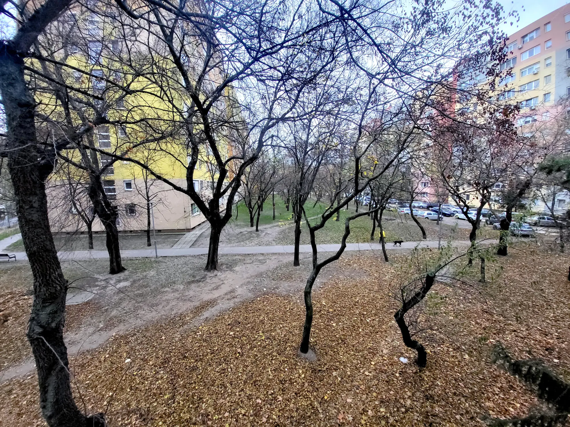 Kiadó albérlet 320000 Ft/hó áron: Budapest, XIV. kerület  Szentmihályi út. Mérete: 82 nm, 3 szobás | Alberlet.hu - 6599675