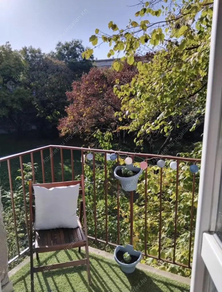 Kiadó albérlet 220000 Ft/hó áron: Budapest, XIV. kerület  Szervián utca. Mérete: 39 nm, 1 szobás | Alberlet.hu - 6613790