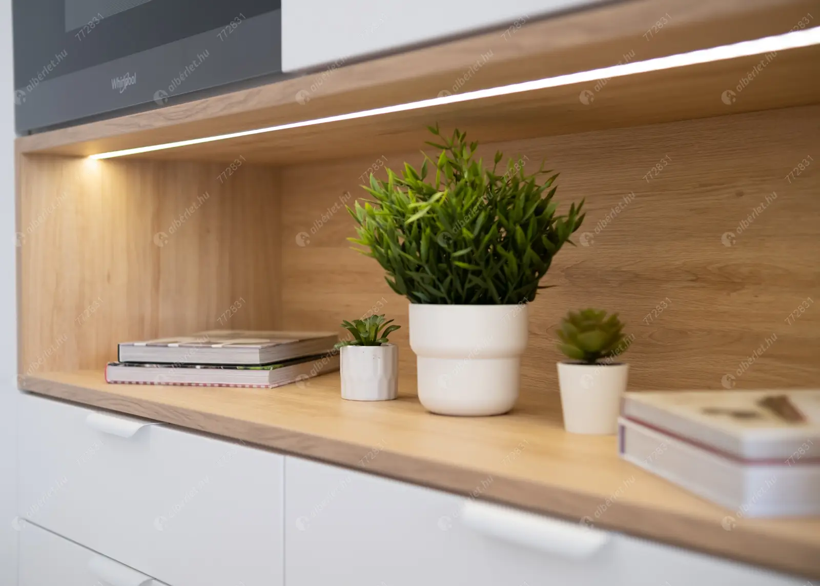 Kiadó albérlet 275000 Ft/hó áron: Budapest, XIV. kerület  Szugló utca. Mérete: 43 nm, 1 szobás | Alberlet.hu - 6620263