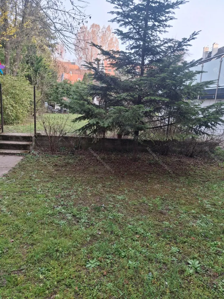 Kiadó albérlet 220000 Ft/hó áron: Budapest, XIV. kerület  Telepes utca. Mérete: 35 nm, 1 szobás | Alberlet.hu - 6677817