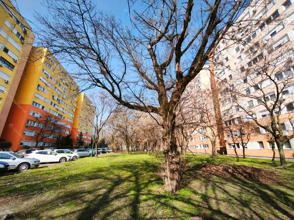 Kiadó albérlet 230000 Ft/hó áron: Budapest, XIV. kerület  Újváros park. Mérete: 46 nm, 2 szobás | Alberlet.hu - 6673506