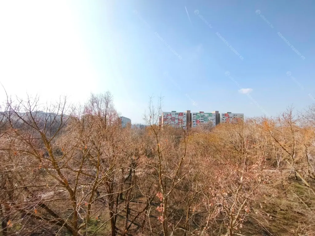 Kiadó albérlet 230000 Ft/hó áron: Budapest, XIV. kerület  Újváros park. Mérete: 46 nm, 2 szobás | Alberlet.hu - 6673513