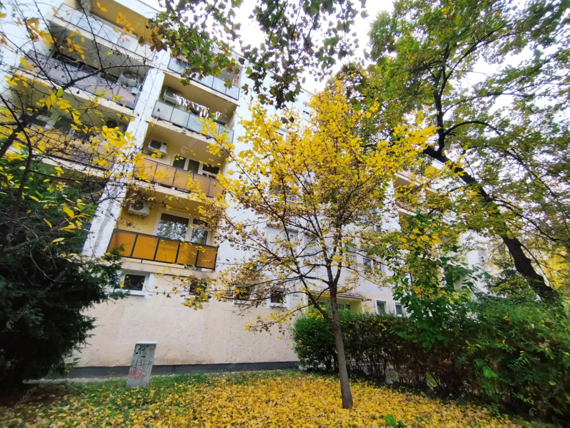 Kiadó albérlet 260000 Ft/hó áron: Budapest, XIV. kerület  Ungvár utca. Mérete: 56 nm, 2 szobás | Alberlet.hu - 6571429