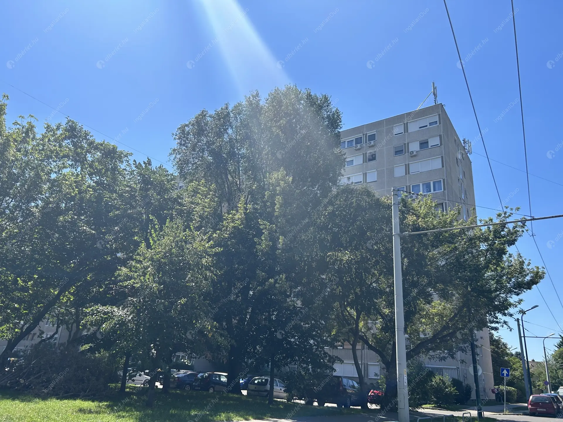 Kiadó albérlet 200000 Ft/hó áron: Budapest, XIV. kerület  Zsálya utca. Mérete: 46 nm, 1 szobás | Alberlet.hu - 6053939