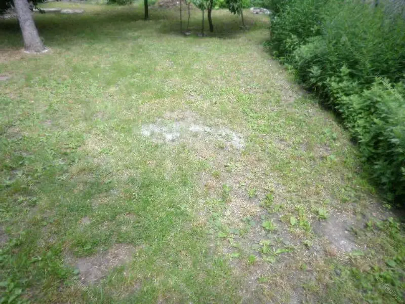 Kiadó albérlet 160000 Ft/hó áron: Budapest, XIX. kerület  Esze Tamás utca. Mérete: 40 nm, 1 szobás | Alberlet.hu - 6641059