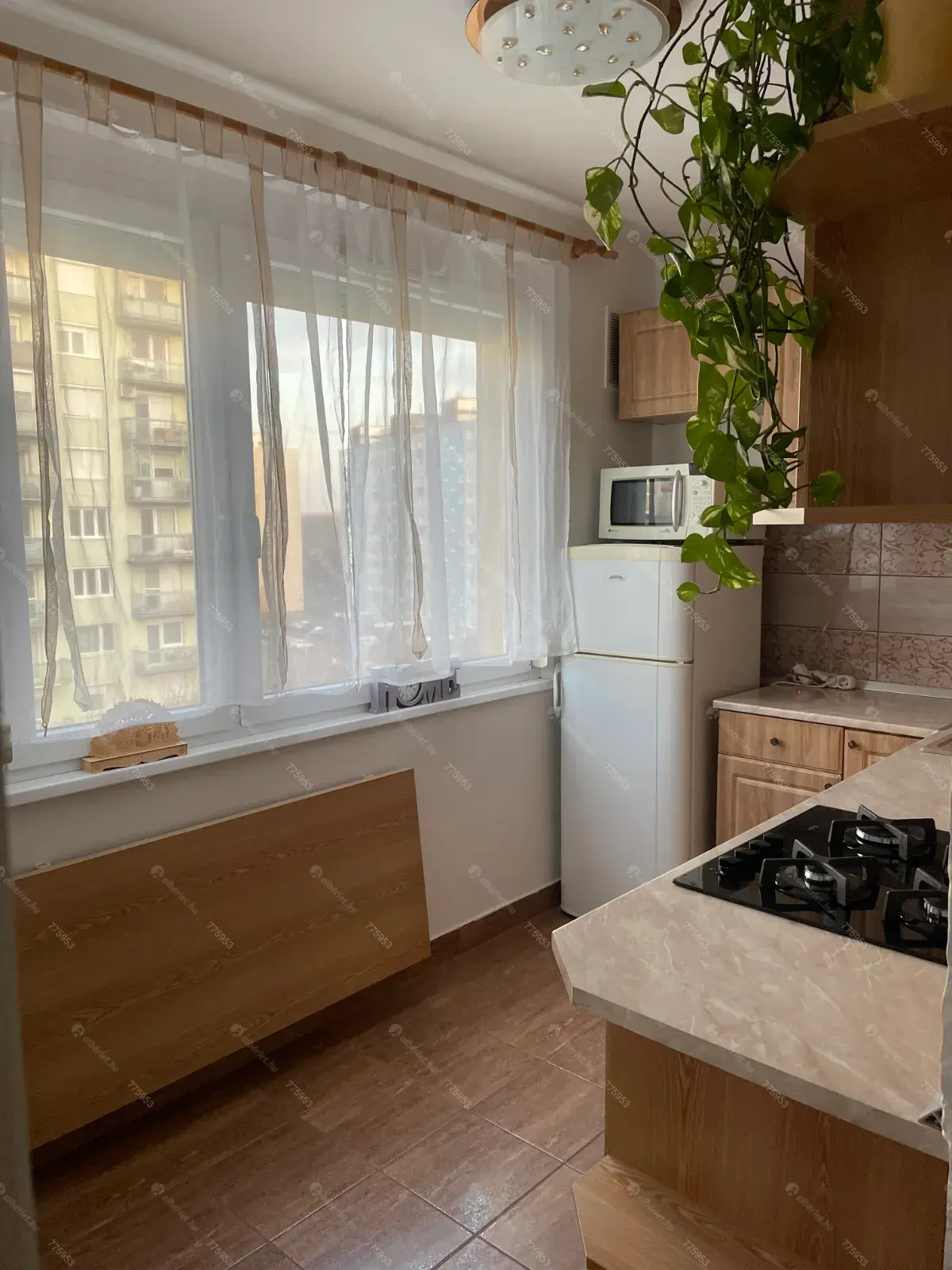 Kiadó albérlet 250000 Ft/hó áron: Budapest, XV. kerület  Erdőkerülő utca. Mérete: 56 nm, 1 szobás | Alberlet.hu - 6677073