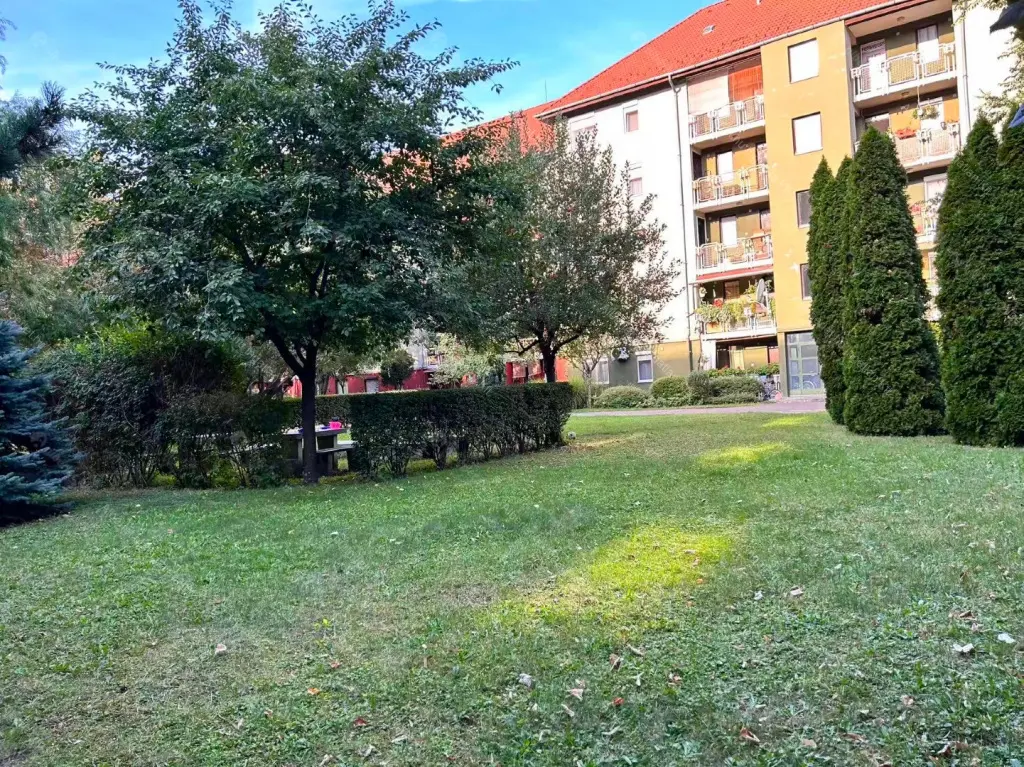 Kiadó albérlet 230000 Ft/hó áron: Budapest, XV. kerület  Rákos út. Mérete: 68 nm, 3 szobás | Alberlet.hu - 6707344