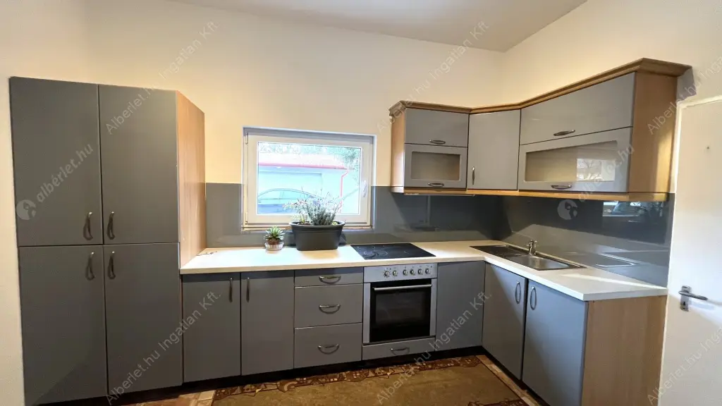 Kiadó albérlet 250000 Ft/hó áron: Budapest, XV. kerület  Vasvári Pál utca. Mérete: 95 nm, 3 szobás | Alberlet.hu - 6626462