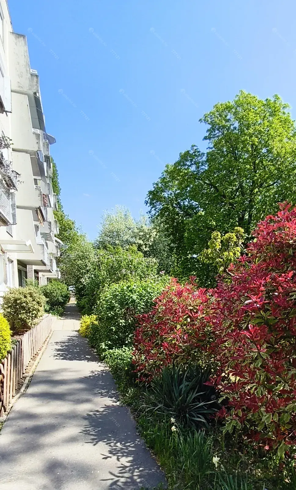 Kiadó albérlet 240000 Ft/hó áron: Budapest, XVI. kerület  Erzsébet-liget . Mérete: 51 nm, 2 szobás | Alberlet.hu - 6704131