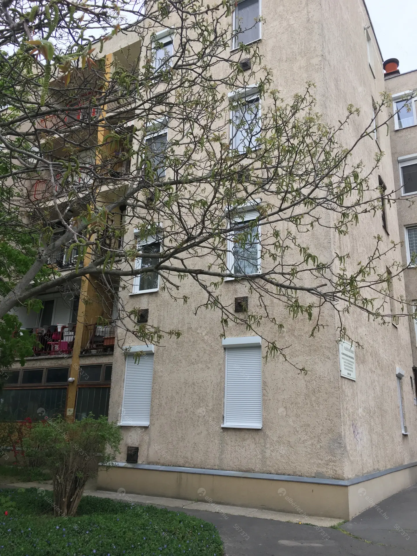 Kiadó albérlet 160000 Ft/hó áron: Budapest, XVI. kerület  Futórózsa utca. Mérete: 38 nm, 1 szobás | Alberlet.hu - 5948521