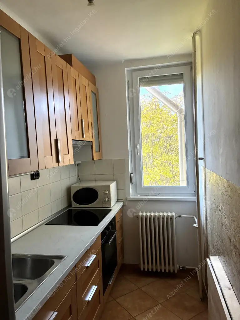 Kiadó albérlet 230000 Ft/hó áron: Budapest, XVI. kerület  Hunyadvár utca. Mérete: 44 nm, 1 szobás | Alberlet.hu - 6569510