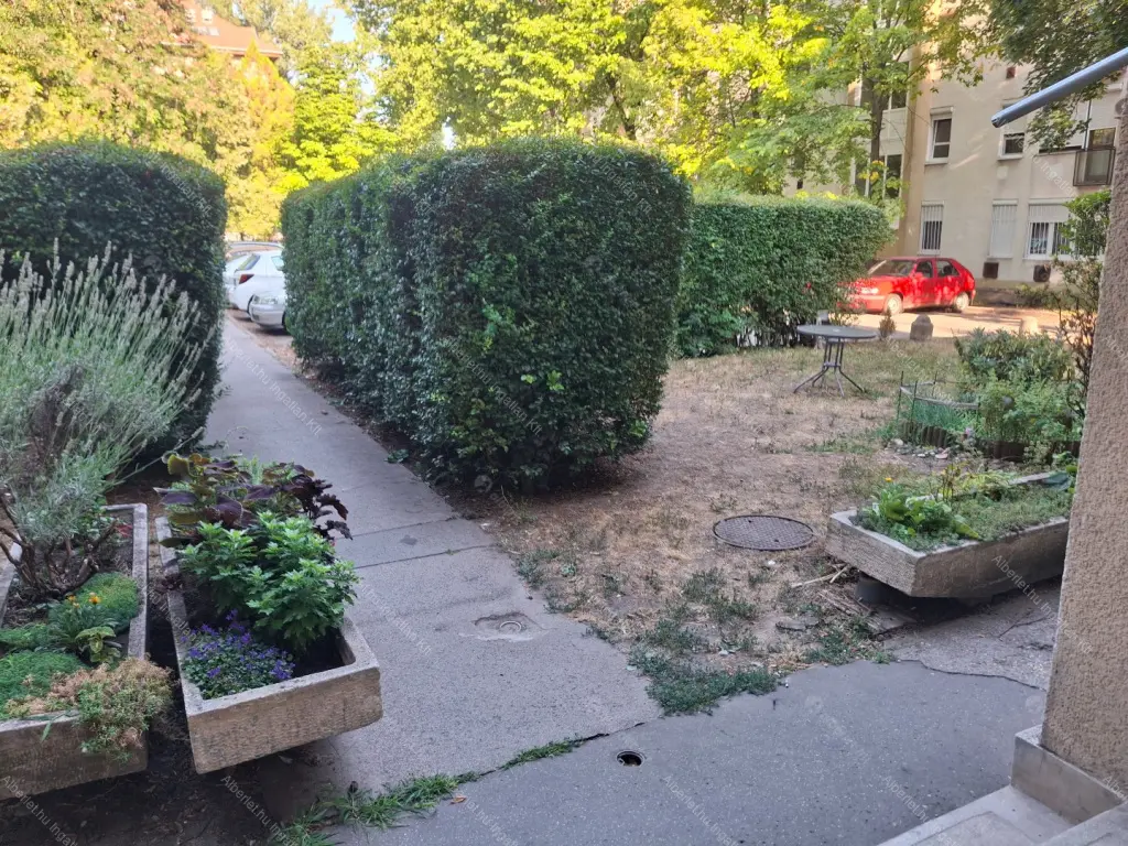 Kiadó albérlet 200000 Ft/hó áron: Budapest, XVI. kerület  Koronafürt utca. Mérete: 42 nm, 1 szobás | Alberlet.hu - 6780398