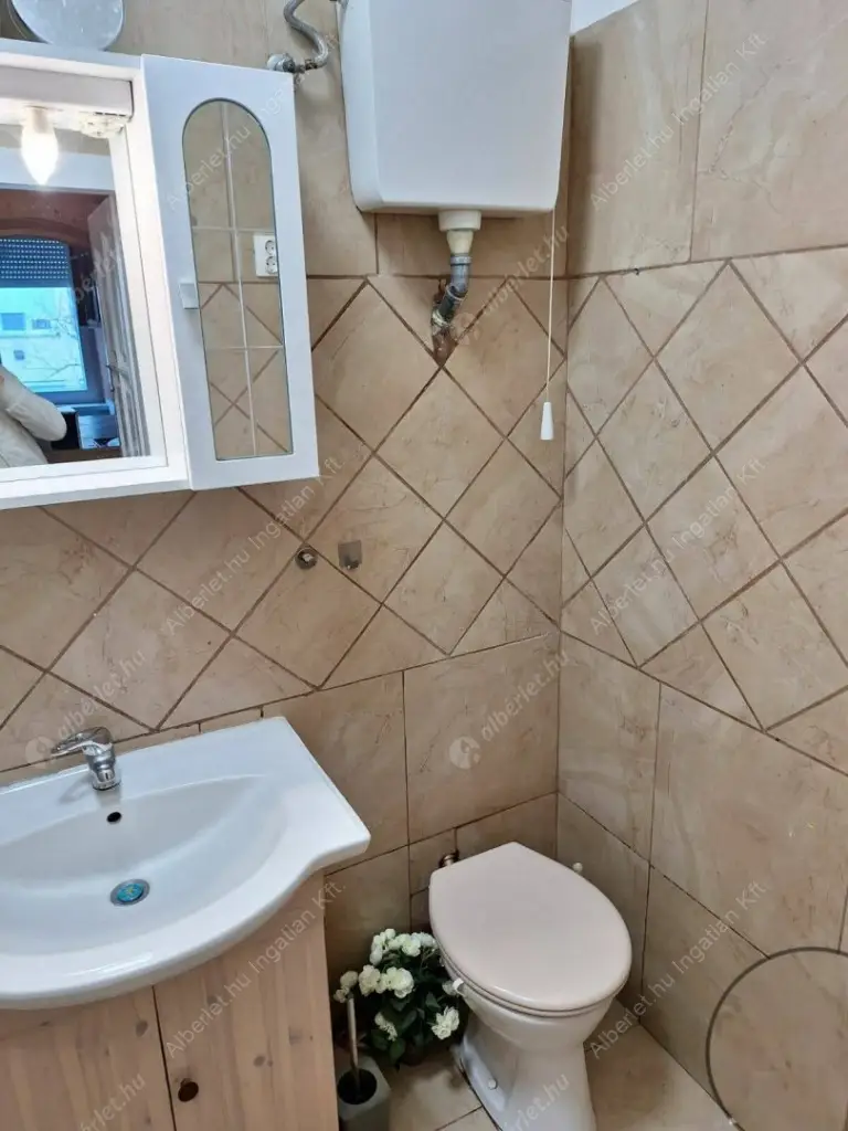 Kiadó albérlet 220000 Ft/hó áron: Budapest, XVI. kerület  Koronafürt utca. Mérete: 50 nm, 1 szobás | Alberlet.hu - 6599893