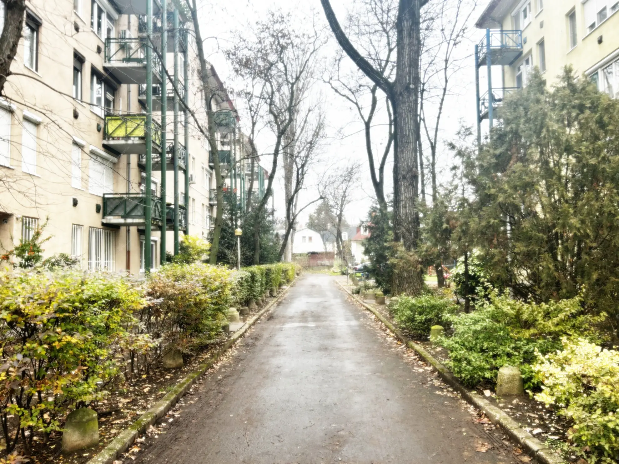 Kiadó albérlet 220000 Ft/hó áron: Budapest, XVI. kerület  Koronafürt utca. Mérete: 51 nm, 1 szobás | Alberlet.hu - 6599643