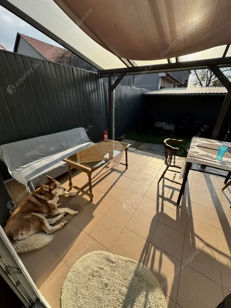 Kiadó albérlet 200000 Ft/hó áron: Budapest, XVII. kerület  Csokonai utca. Mérete: 30 nm, 1 szobás | Alberlet.hu - 6577308