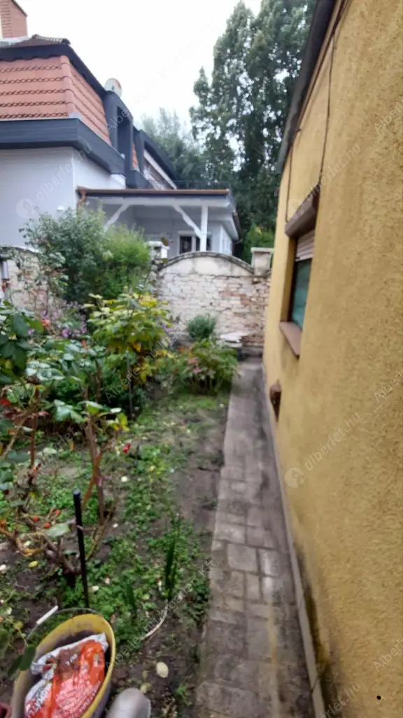 Kiadó albérlet 130000 Ft/hó áron: Budapest, XVIII. kerület  Darányi Ignác utca. Mérete: 30 nm, 1 szobás | Alberlet.hu - 6577000