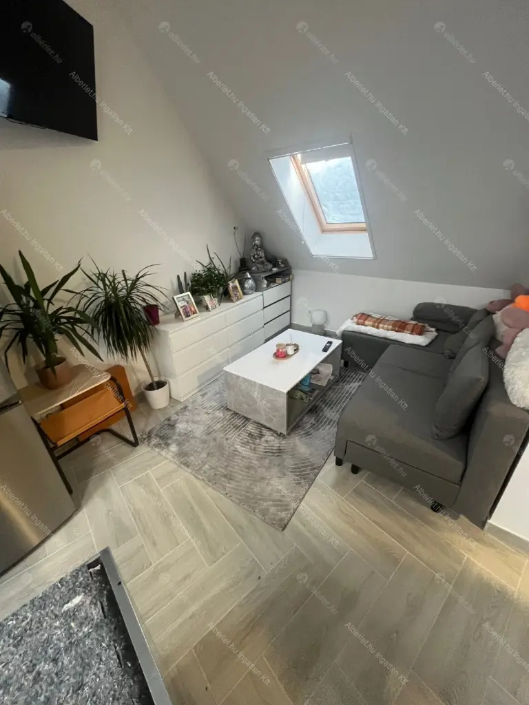 Kiadó albérlet 160000 Ft/hó áron: Budapest, XVIII. kerület  Nyíregyháza utca. Mérete: 38 nm, 1 szobás | Alberlet.hu - 6650660