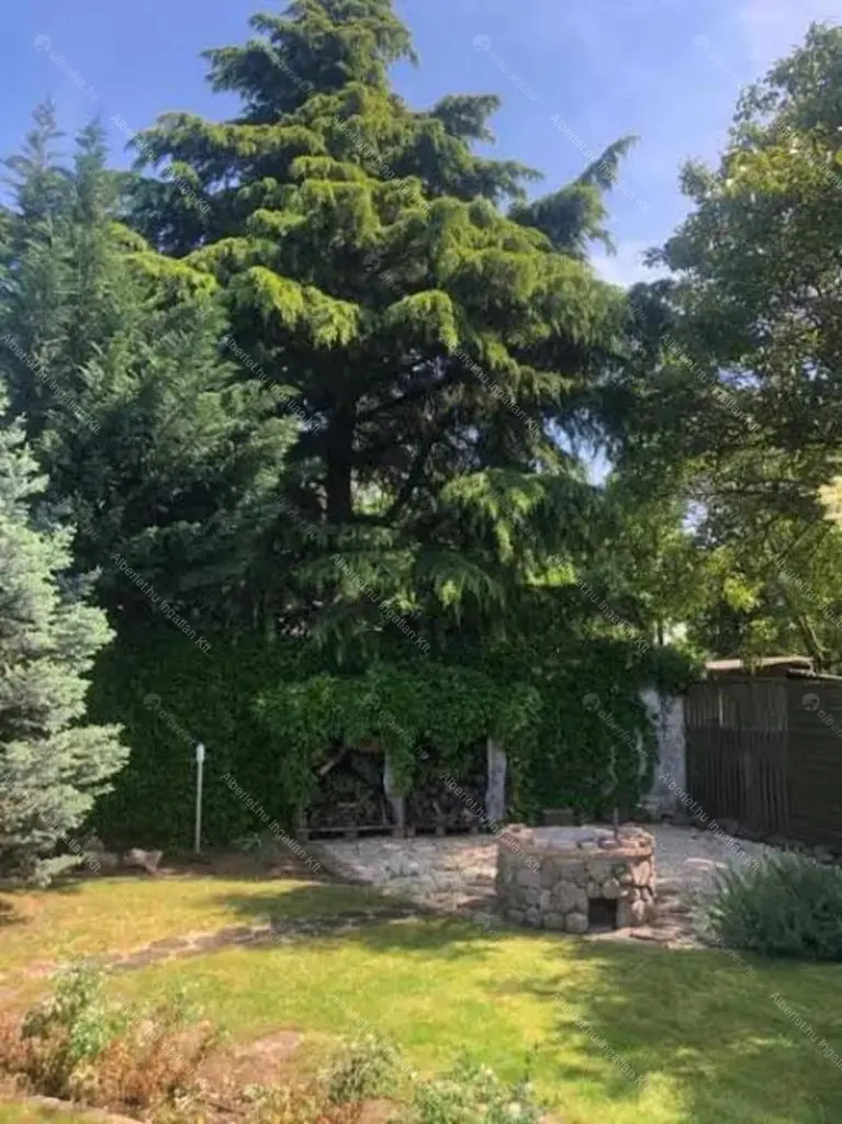 Kiadó albérlet 780000 Ft/hó áron: Budapest, XVIII. kerület  Székelyudvarhely utca. Mérete: 147 nm, 5 szobás | Alberlet.hu - 6672809