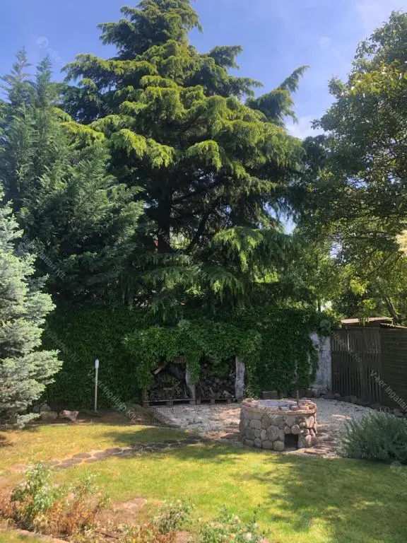 Kiadó albérlet 780000 Ft/hó áron: Budapest, XVIII. kerület  Székelyudvarhely utca. Mérete: 150 nm, 5 szobás | Alberlet.hu - 6662169