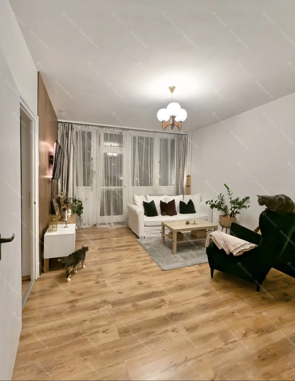 Kiadó albérlet 200000 Ft/hó áron: Budapest, XX. kerület  Bíró Mihály utca. Mérete: 49 nm, 2 szobás | Alberlet.hu - 6688709