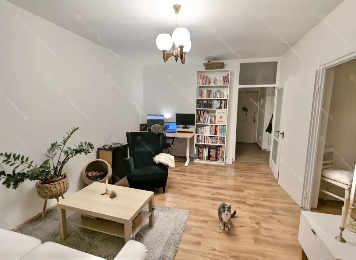 Kiadó albérlet 200000 Ft/hó áron: Budapest, XX. kerület  Bíró Mihály utca. Mérete: 49 nm, 2 szobás | Alberlet.hu - 6688711