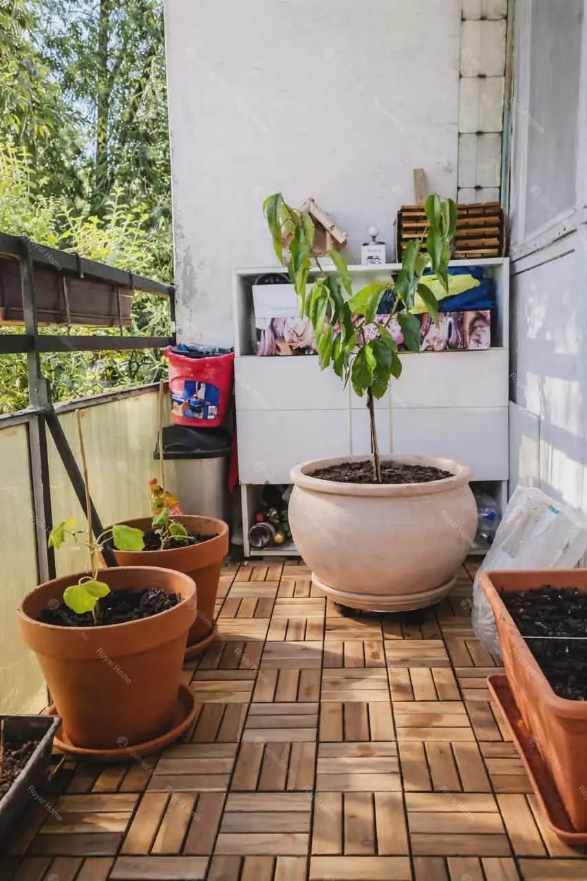 Kiadó albérlet 199000 Ft/hó áron: Budapest, XX. kerület  Bíró Mihály utca. Mérete: 49 nm, 2 szobás | Alberlet.hu - 6691229