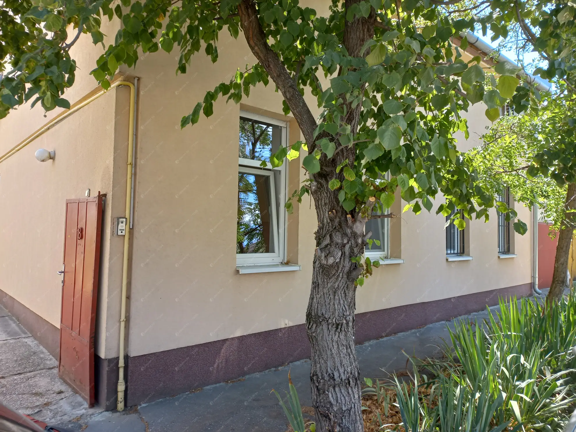 Kiadó albérlet 180000 Ft/hó áron: Budapest, XX. kerület  Eötvös utca. Mérete: 53 nm, 1 szobás | Alberlet.hu - 6630412