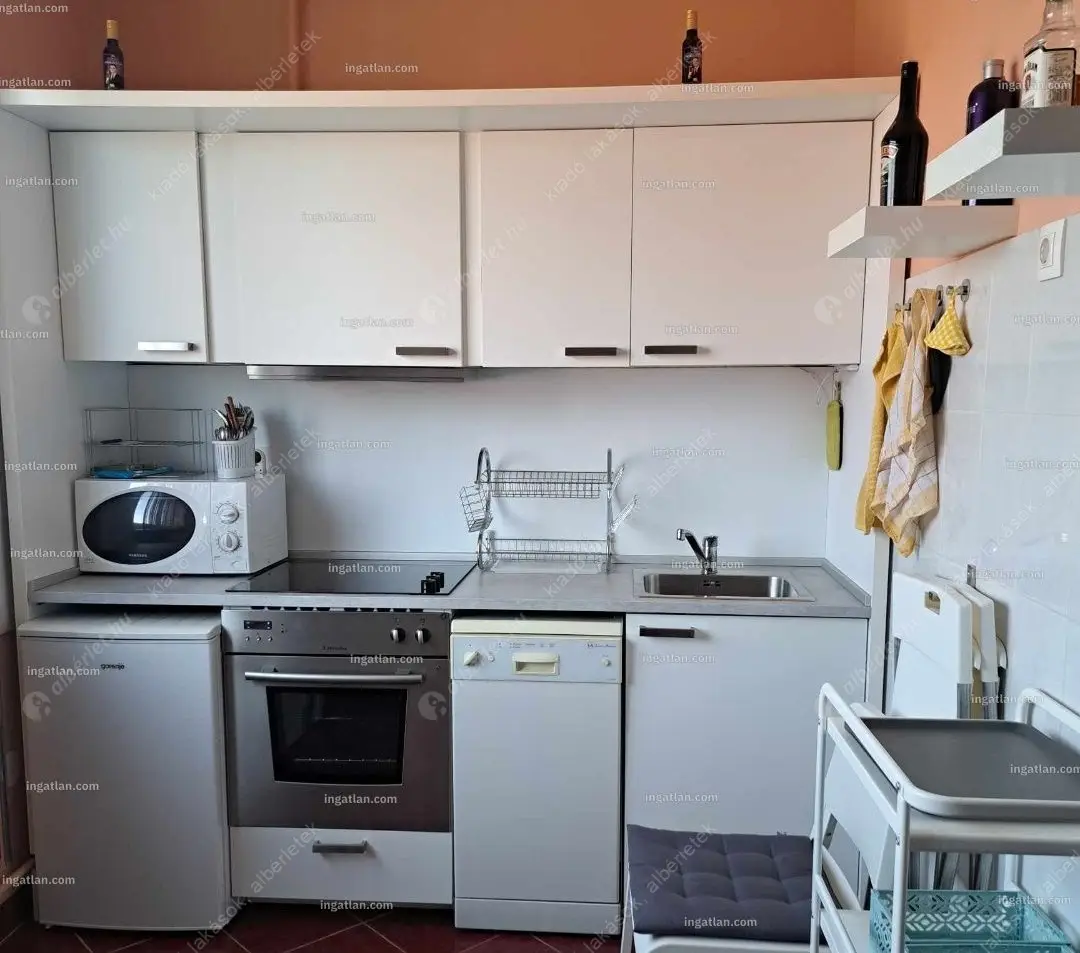 Kiadó albérlet 230000 Ft/hó áron: Budapest, XX. kerület  Török Flóris utca. Mérete: 56 nm, 2 szobás | Alberlet.hu - 6621352