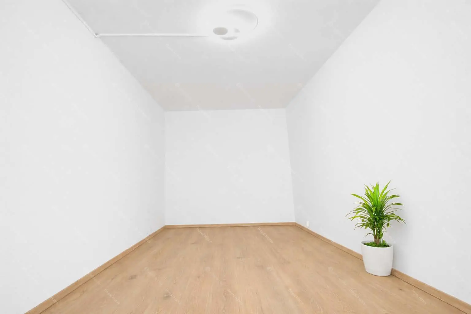 Kiadó albérlet 199000 Ft/hó áron: Budapest, XXI. kerület  Krizantén utca. Mérete: 55 nm, 2 szobás | Alberlet.hu - 6693774