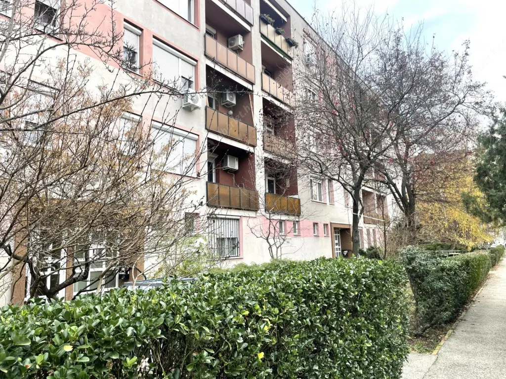 Kiadó albérlet 190000 Ft/hó áron: Budapest, XXI. kerület  Templom utca. Mérete: 50 nm, 1 szobás | Alberlet.hu - 6592417