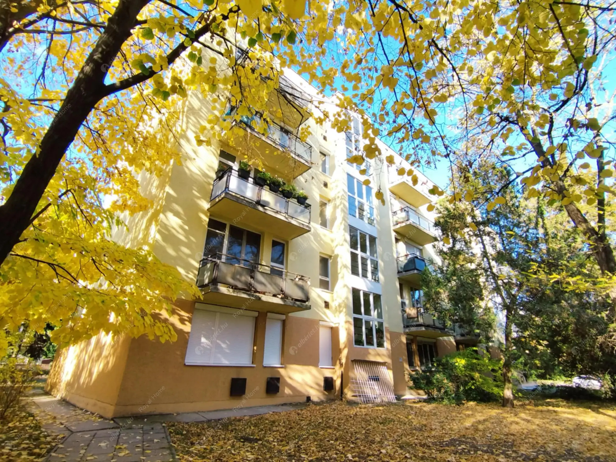 Kiadó albérlet 229000 Ft/hó áron: Budapest, XXII. kerület  Tenkes utca. Mérete: 58 nm, 3 szobás | Alberlet.hu - 6571371