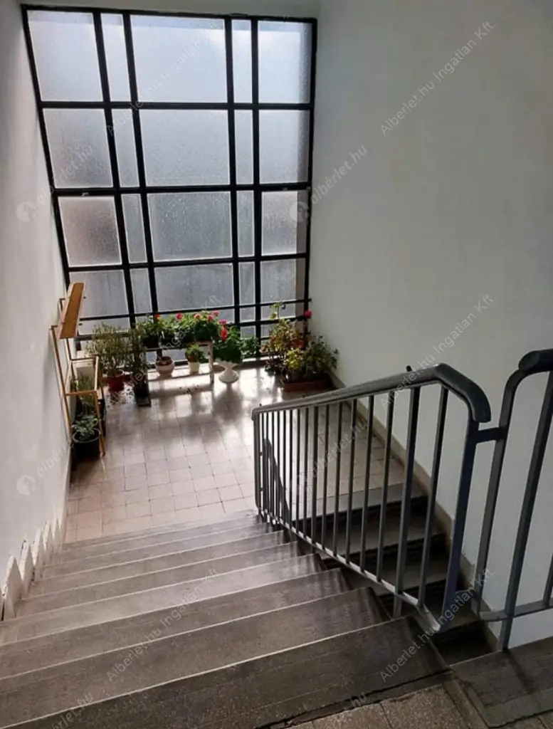 Kiadó albérlet 180000 Ft/hó áron: Budapest, XXIII. kerület  Nyír  utca . Mérete: 41 nm, 2 szobás | Alberlet.hu - 6598230