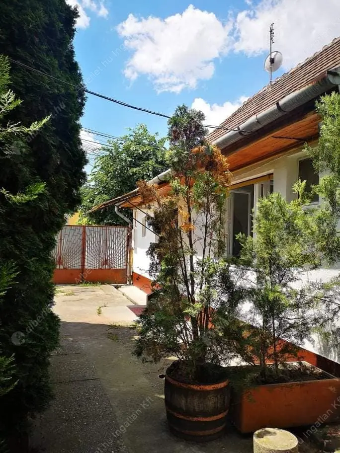 Kiadó albérlet 180000 Ft/hó áron: Budapest, XXIII. kerület  Táncsics Mihály utca. Mérete: 50 nm, 2 szobás | Alberlet.hu - 6616306