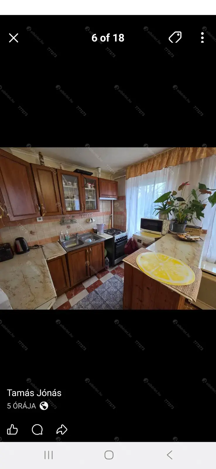 Kiadó albérlet 166000 Ft/hó áron: Debrecen,  Kékszilva . Mérete: 70 nm, 2 szobás | Alberlet.hu - 6703185