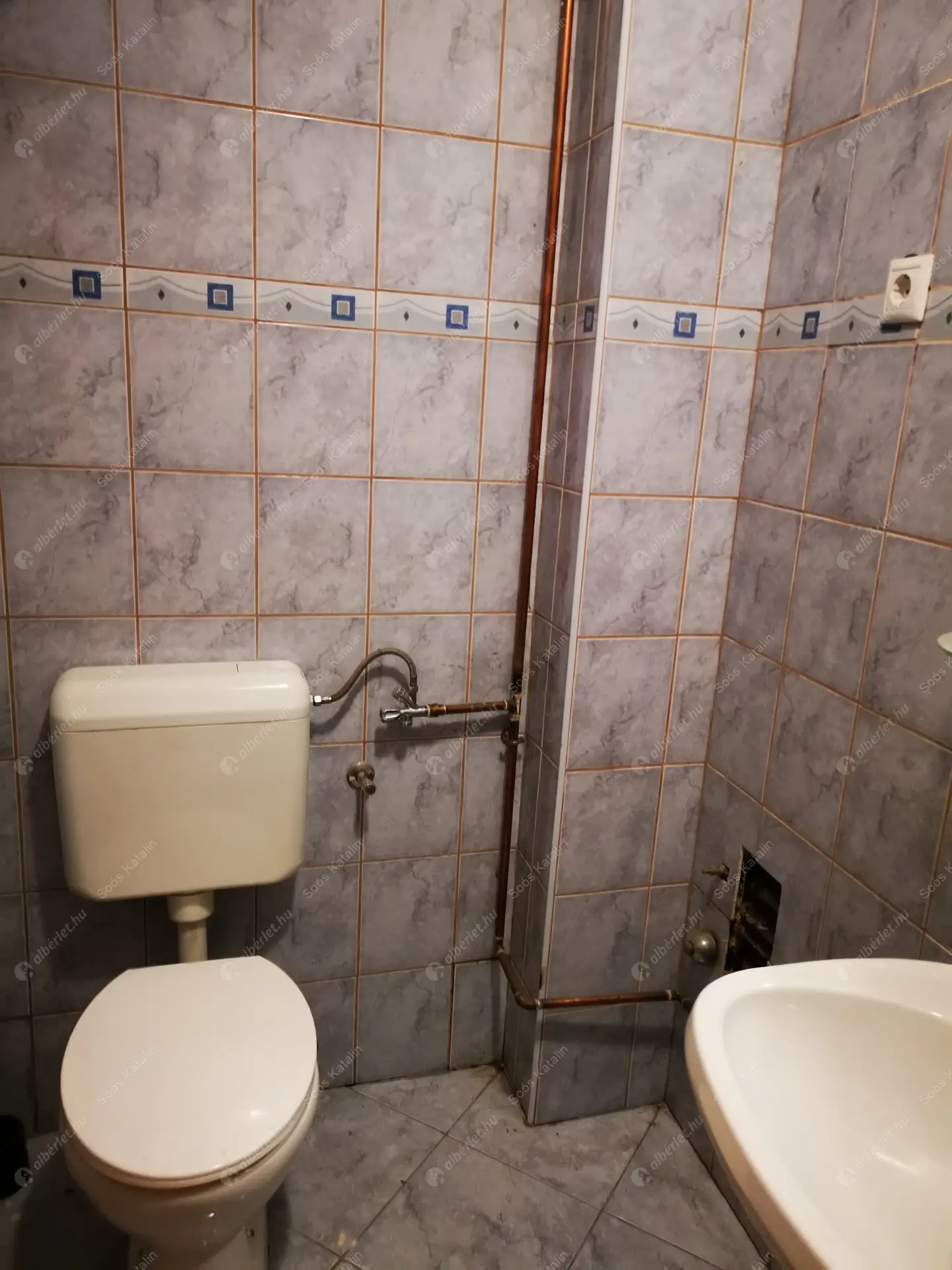 Kiadó albérlet 185000 Ft/hó áron: Dunakeszi,  Óceán-árok . Mérete: 45 nm, 1 szobás | Alberlet.hu - 6244798