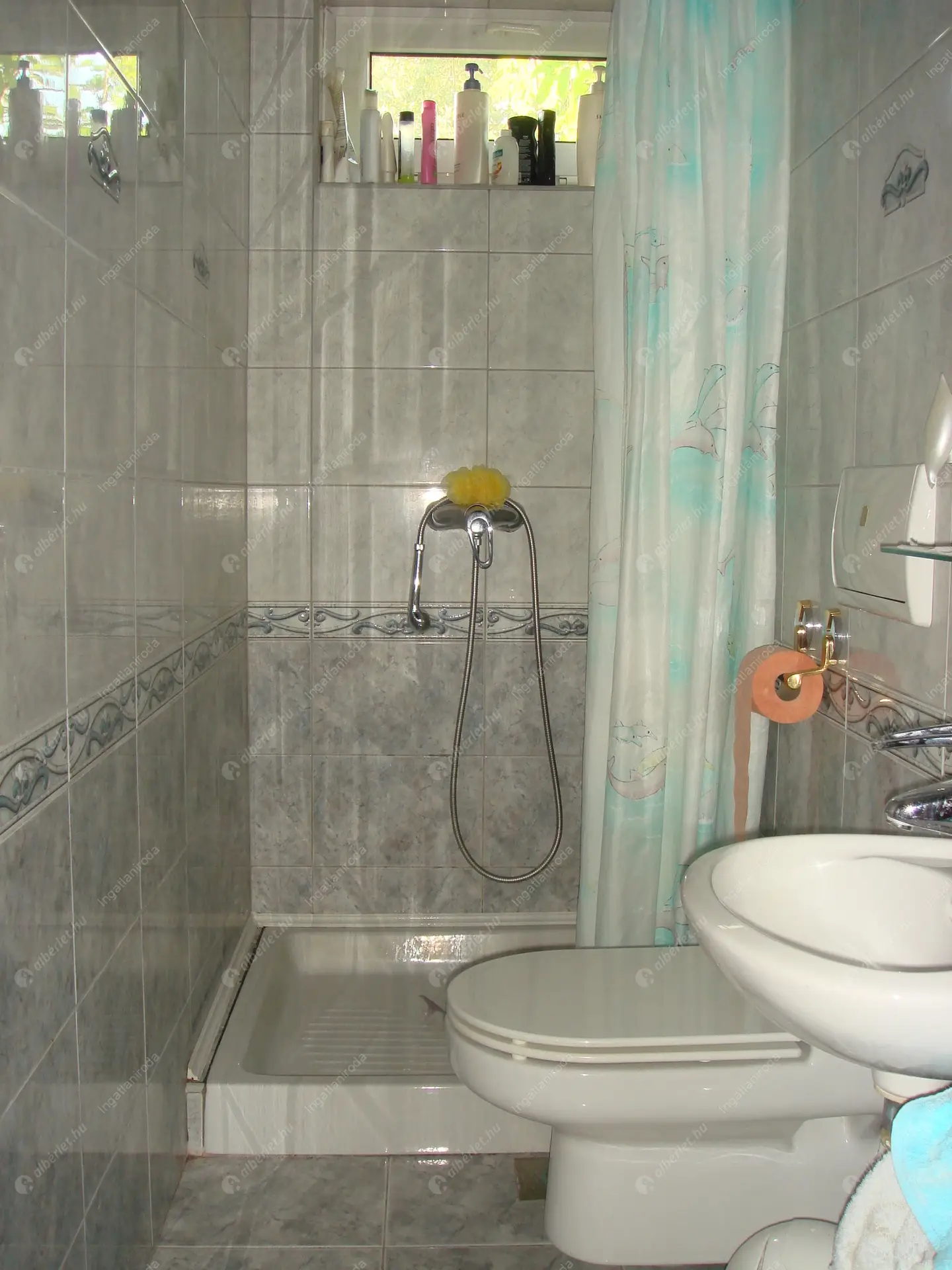 Kiadó albérlet 750000 Ft/hó áron: Fót,  Sport utca. Mérete: 330 nm, 6 szobás | Alberlet.hu - 5830601