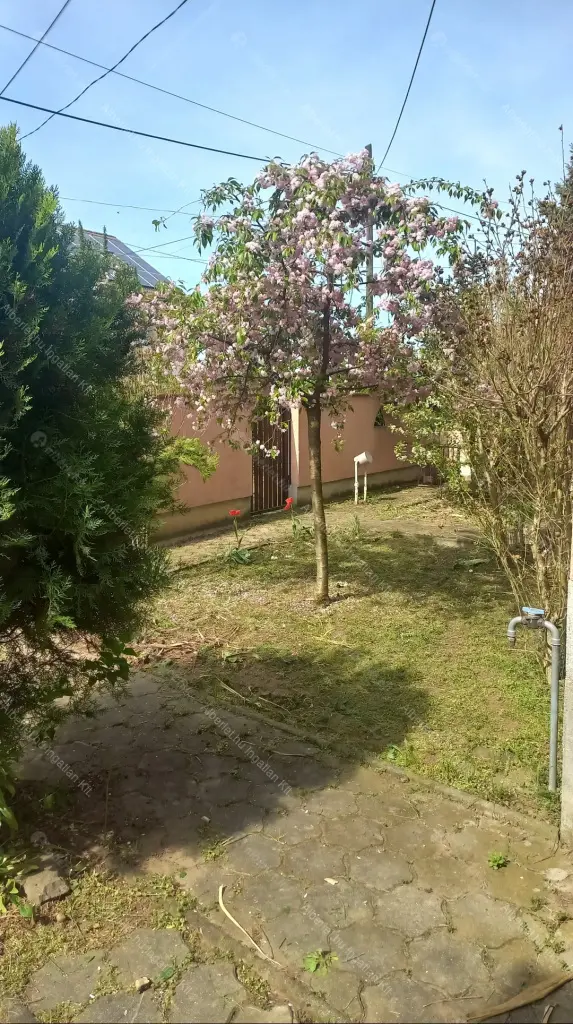 Kiadó albérlet 260000 Ft/hó áron: Galgahévíz,  Mikszáth Kálmán utca. Mérete: 140 nm, 5 szobás | Alberlet.hu - 6688496