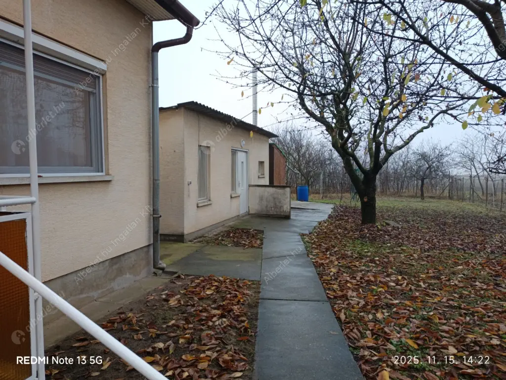 Kiadó albérlet 260000 Ft/hó áron: Gyömrő,  Nefelejcs utca. Mérete: 85 nm, 1 szobás | Alberlet.hu - 6599477