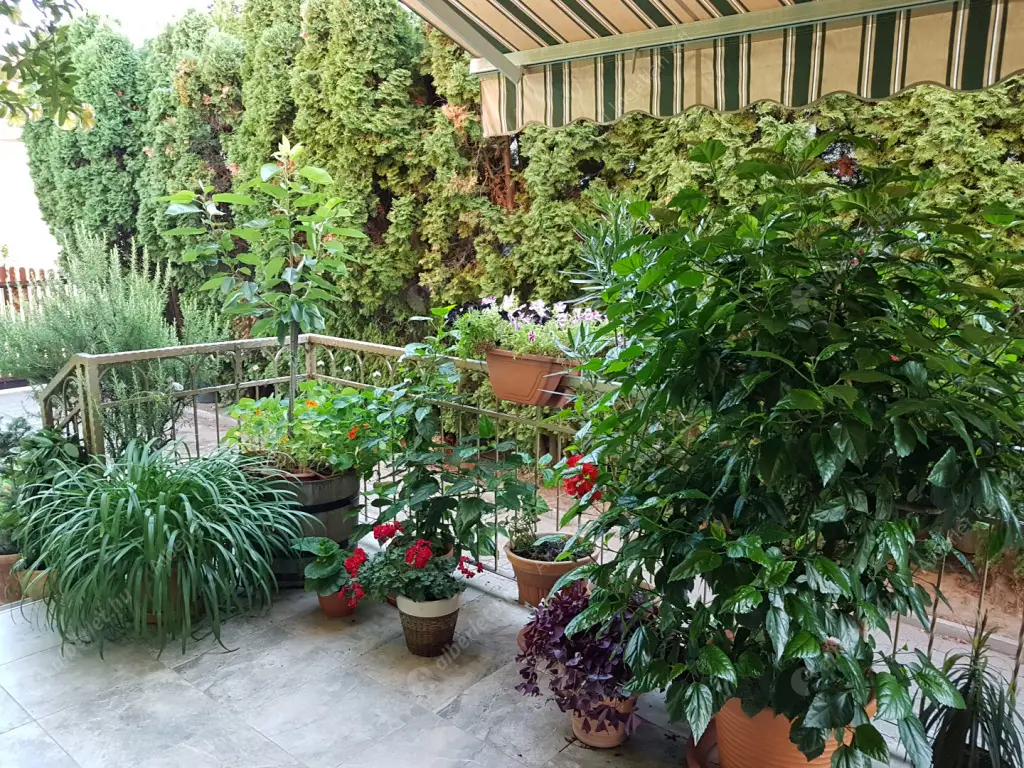 Kiadó albérlet 320000 Ft/hó áron: Maglód,  Tompa Mihály  utca . Mérete: 120 nm, 2 szobás | Alberlet.hu - 6573544