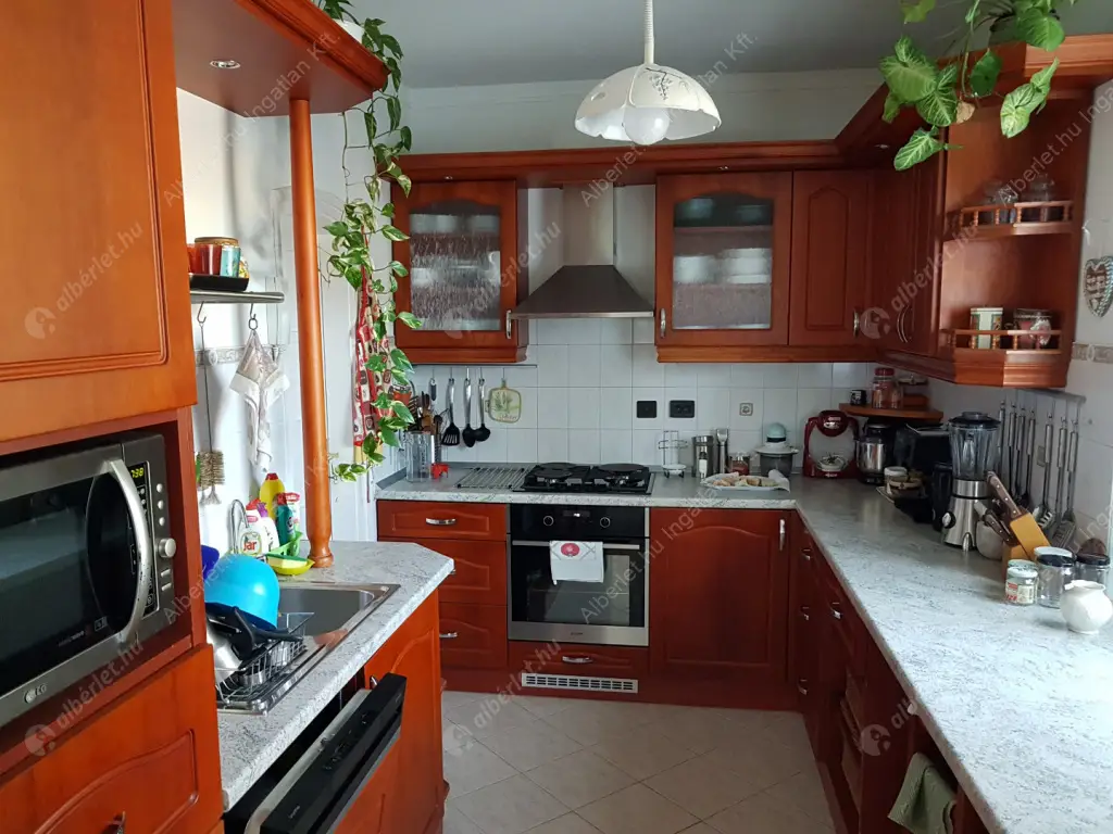 Kiadó albérlet 320000 Ft/hó áron: Maglód,  Tompa Mihály  utca . Mérete: 120 nm, 2 szobás | Alberlet.hu - 6573545