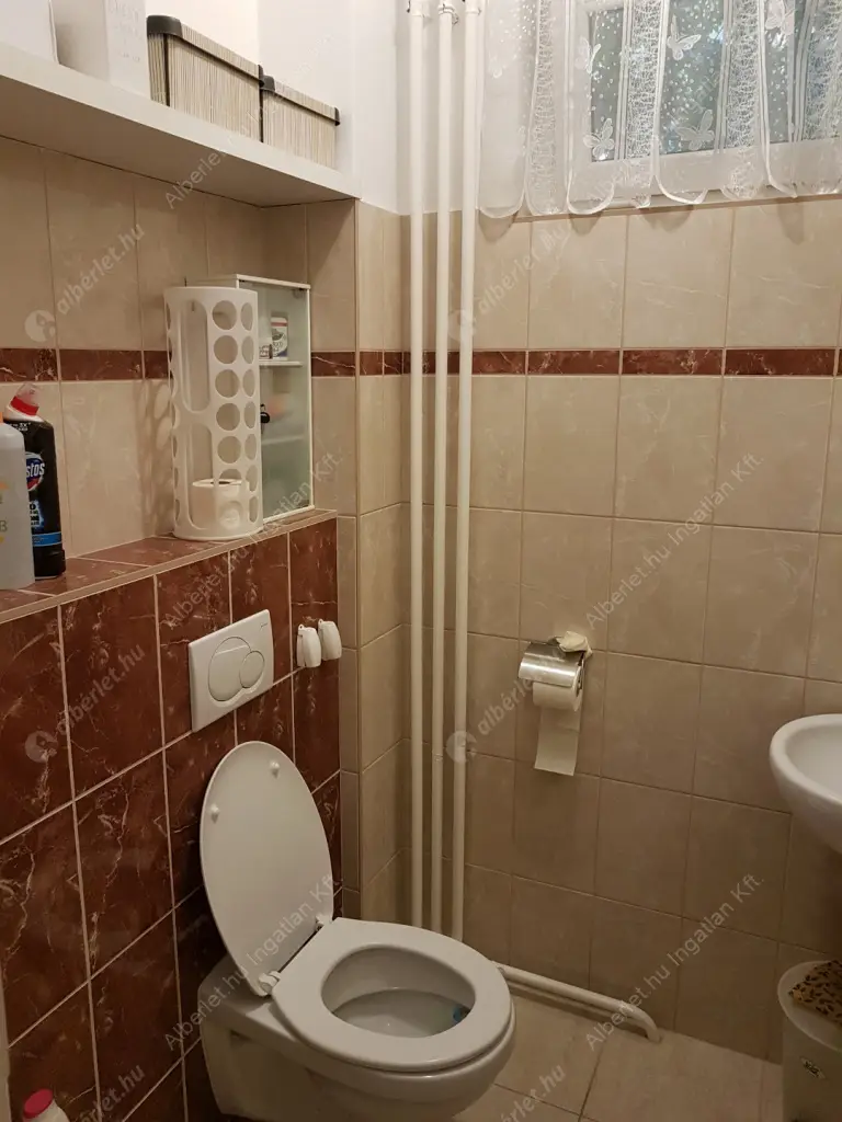 Kiadó albérlet 320000 Ft/hó áron: Maglód,  Tompa Mihály  utca . Mérete: 120 nm, 2 szobás | Alberlet.hu - 6573556