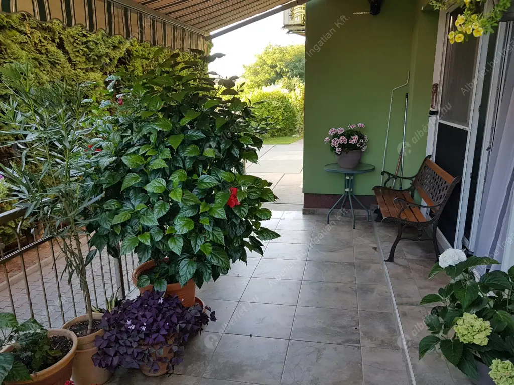 Kiadó albérlet 320000 Ft/hó áron: Maglód,  Tompa Mihály  utca . Mérete: 120 nm, 2 szobás | Alberlet.hu - 6575011