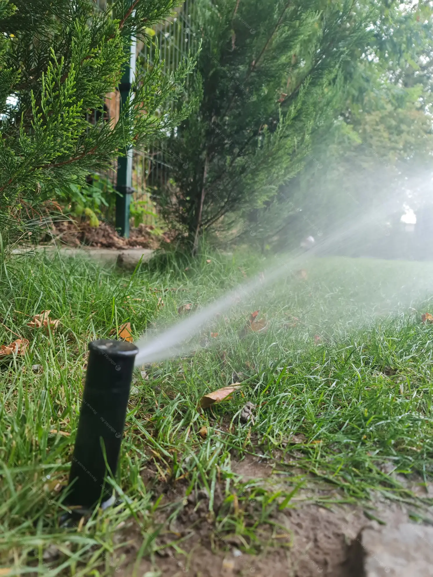 Kiadó albérlet 650000 Ft/hó áron: Nagytarcsa,  Zsurló utca. Mérete: 150 nm, 5 szobás | Alberlet.hu - 6617902