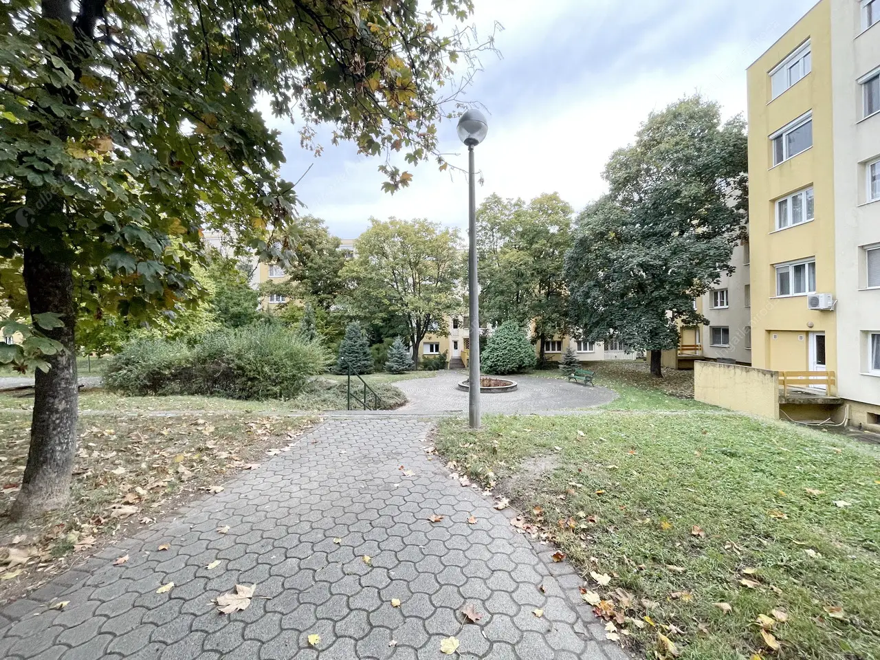 Kiadó albérlet 250000 Ft/hó áron: Százhalombatta,  Liszt Ferenc sétány. Mérete: 55 nm, 2 szobás | Alberlet.hu - 6124944